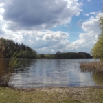 Unsere Idylle am großen Segeberger See